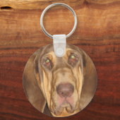 ブラッドハウンド写真キーチェーン キーホルダー (正面)