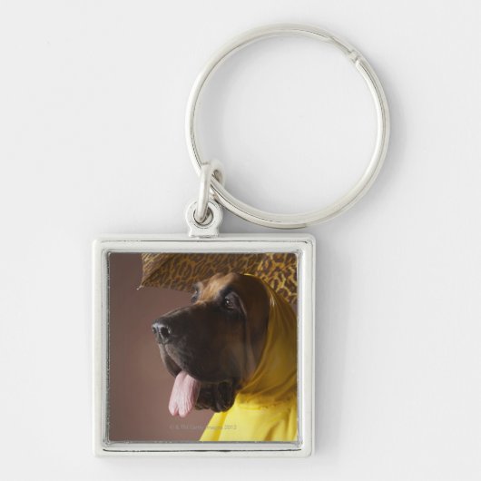 ブラッドハウンド犬 キーホルダー (正面)