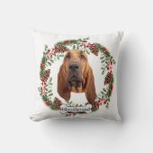 ブラッドハウンド犬 クッション (正面)