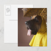 ブラッドハウンド犬。 ポストカード (正面/裏面)