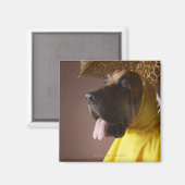 ブラッドハウンド犬。 マグネット (正面/裏面)