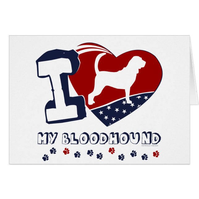 ブラッドハウンド (正面横)