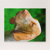 ブラッドハウンド ジグソーパズル (横)