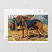 ブラッドハウンド ポストカード (正面/裏面)