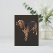 ブラッドハウンド ポストカード (スタンド正面)