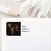 ブラッドハウンド ラベル (インサイチュ)