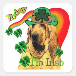 ブラッドハウンドst patricks スクエアシール