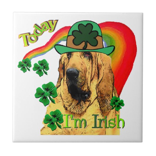 ブラッドハウンドst patricks タイル (正面)