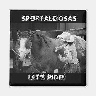 ブラッドフォードが乗る マグネット