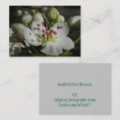 ブラッドフォードのナシの花ATCの写真カード 名刺 (正面/裏面)