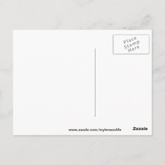 ブラッドフォードの梨は咲く。 ポストカード (裏面)