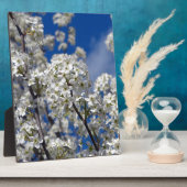 ブラッドフォードピア開花 フォトプラーク (側面)