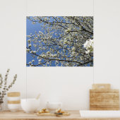 ブラッドフォード梨の木 – ポスター (キッチン)