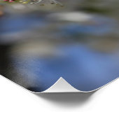 ブラッドフォード梨の花 ポスター (コーナー)