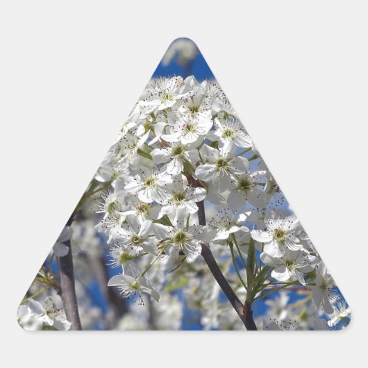 ブラッドフォード梨開花 三角形シール (正面)