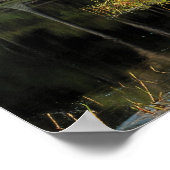 ブラッドフォード湖地域のヒノキの木、 ポスター (角)