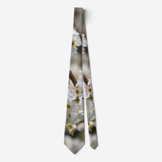 ブラッドフォード選択フォーカスタイ ネクタイ (正面)