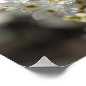 ブラッドフォード選択フォーカス ポスター (角)