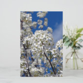 ブラッドフォード・ペアの花 便箋 (スタンド正面)