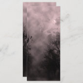 ブラッドレッド幽霊のよく出るスカイとラヴェンス (正面/裏面)