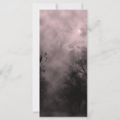 ブラッドレッド幽霊のよく出るスカイとラヴェンス (正面)