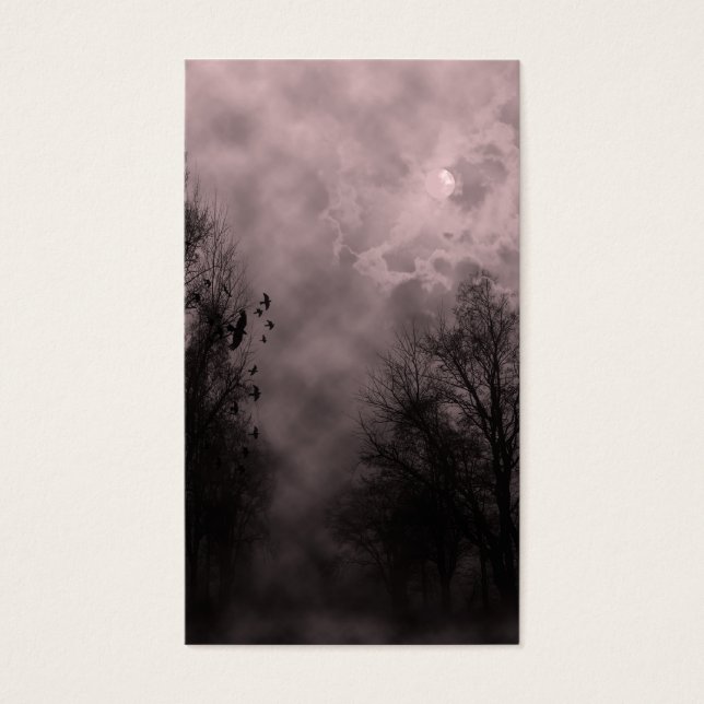 ブラッドレッド幽霊のよく出るスカイとラヴェンス (正面)