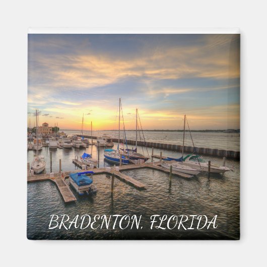 ブラデントン磁石 マグネット (正面)