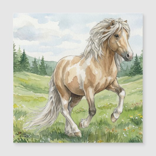 ブラナ・ピント・パロミノ アイスランドの水彩画 (正面)