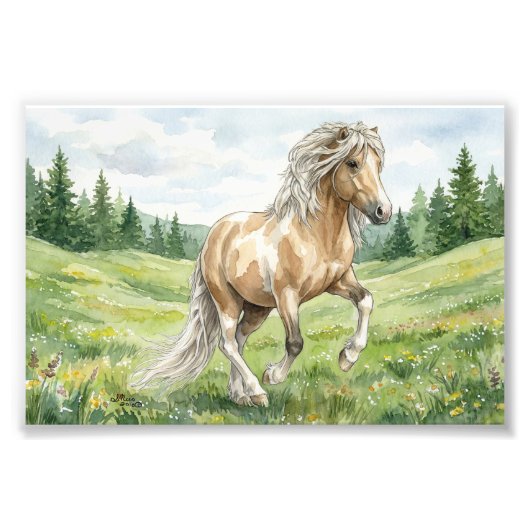 ブラナ・ピント・パロミノ アイスランドの水彩画 フォトプリント (正面)