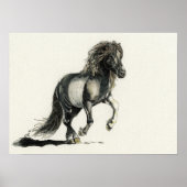 ブラナ ポスター (正面)