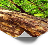 ブラニーグリーンウッドプリント ポスター (角)