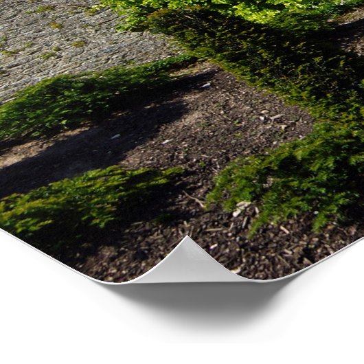 ブラニー城 ポスター (角)