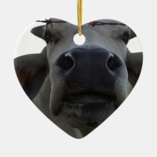 ブラフマン牛雄牛田園クイーンズランドオーストラリア セラミックオーナメント (正面)