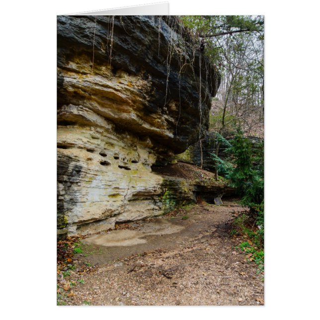 ブラフ並みの歩道 (正面)