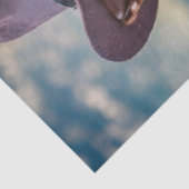 ブラフ大佐ブルドッグ遊トランプのポーカー 薄葉紙 (詳細)