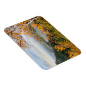 ブラフ&樺の木パノラママグネット マグネット (右側)