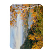 ブラフ&樺の木パノラママグネット マグネット (縦)