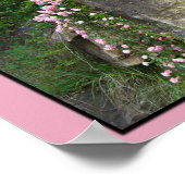 ブラフZPのPk古いフラッシュローズ ポスター (角)