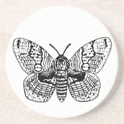 ブラミンモススケッチ コースター (正面)