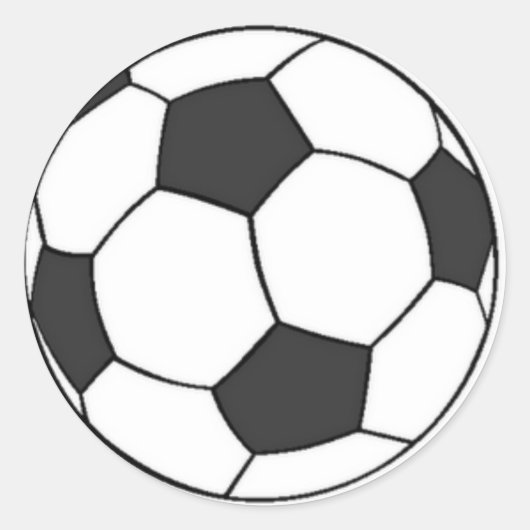 ブランカ亜目 ラウンドシール (正面)