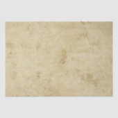ブランクによって汚される羊皮紙のベージュ旧式なレトロ 薄葉紙 (正面)