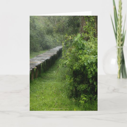 ブランクの中カード カード (正面)