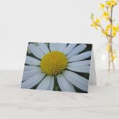 ブランクの地図に、挨拶している白いデイジー カード (黄色い花)