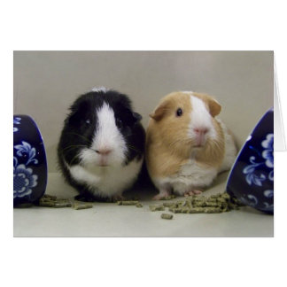 ブランクの"ティータイム"カード