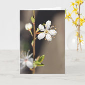 ブランクホワイトさくらんぼ花 カード (黄色い花)
