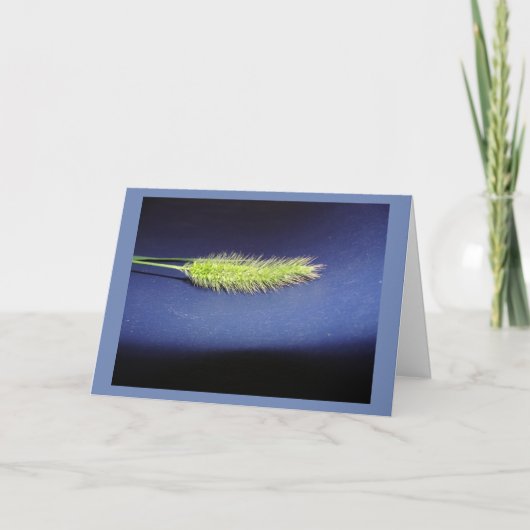 ブランク カード (正面)