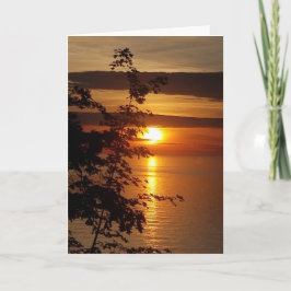 ブランク カード