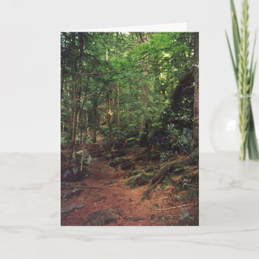 ブランク カード (正面)