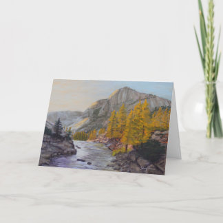 ブランク カード