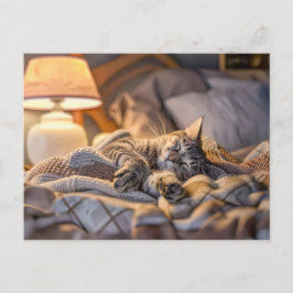 ブランケットとランプのあるソファでくつろぐ猫 シーズンポストカード